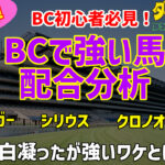 ダビスタSwitch攻略!BCで勝利したお馬さんの動画解説!#4